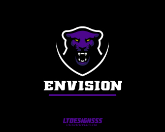 Envision Gaming