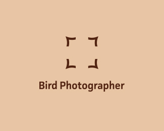 Bird Photographer