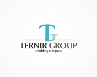 Ternig Group