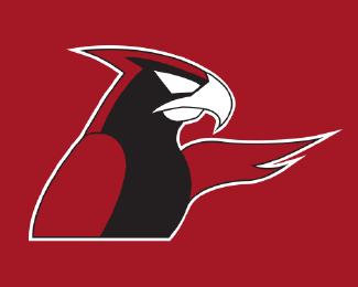 Atlanta Falcons Logo Concept