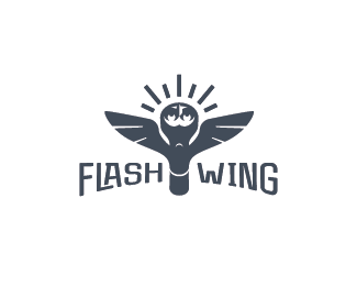 Flash Owl