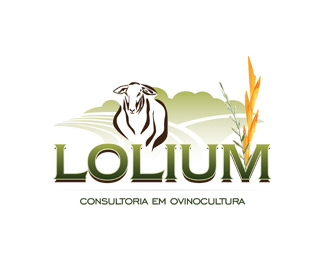 Lolium