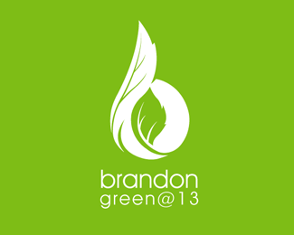 BrandonGreen@13