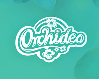 Orchidea