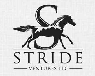 STRIDGE VENTURES