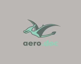 aero.doc