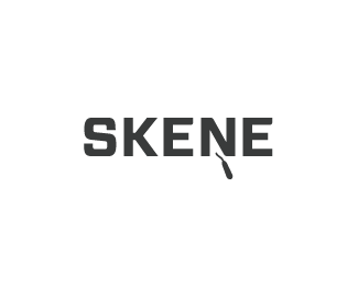 Skene Plastering