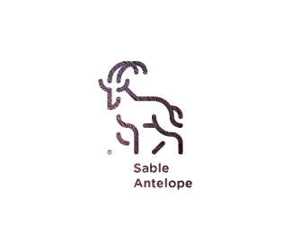 SABLE ANTELOPE