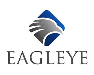 Eagle Eye Logo