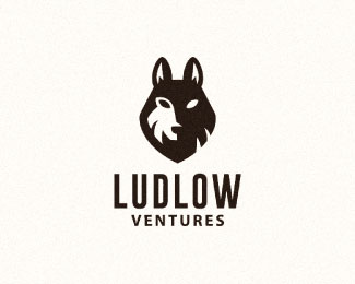 Ludlow Ventures