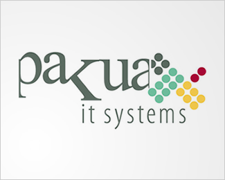 Pakua It Systems