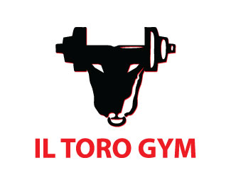 Il toro gym