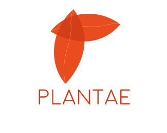 PLANTAE