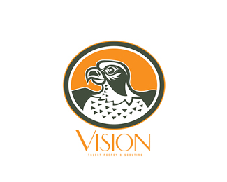 Vision Talent Agency Logo