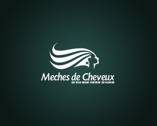 Meches de Cheveux V1