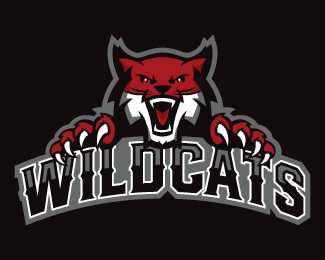 Wildcats + Wordmark