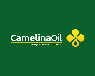 Camelina Oil