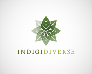 Indigidiverse