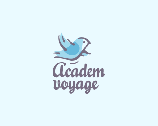 academ voyage