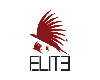 Elite Flite