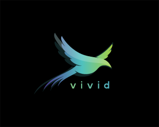 Vivid