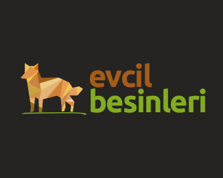 Evcil Besinleri