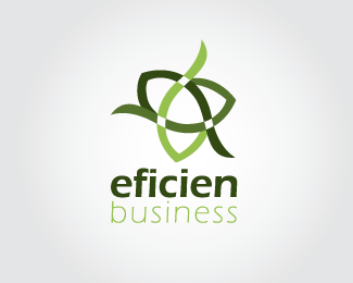 Eficien Business