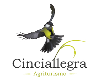 Cinciallegra