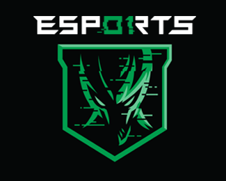 01 ESPORTS