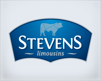 Stevens Limousins