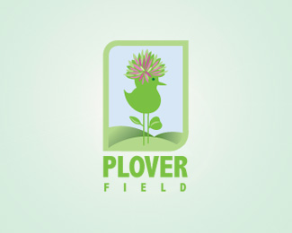 Plover Field