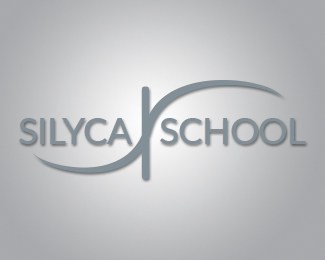 Silica Shool