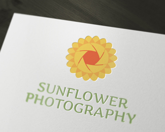 Sunflower Photography