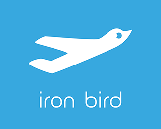 Iron Bird