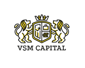 vsm capital