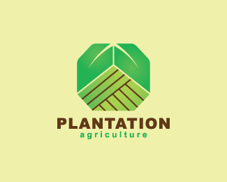 Plantation