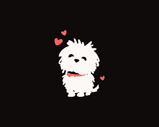 Maltese Dog