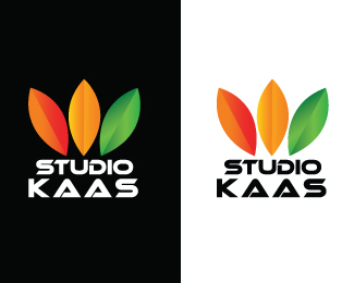 STUDIO KAAS