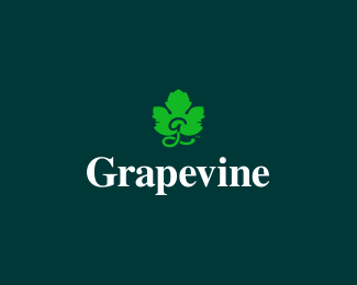 Grapevine