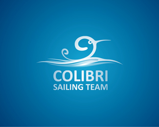 Colibri Saling Team