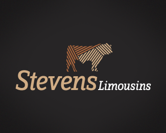 Stevens Limousins