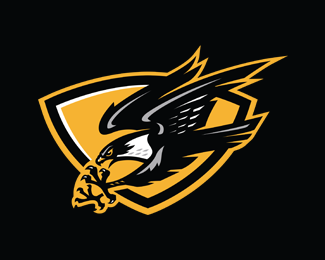 Eiker Falcons Hockey