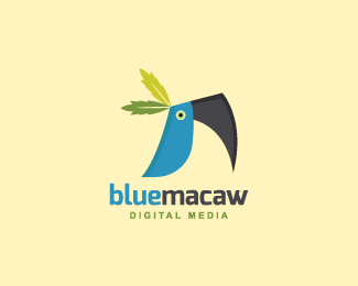 Blue Macaw