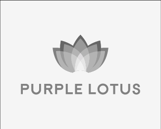 Purple Lotus