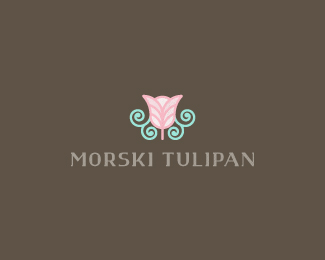 Morski Tulipan