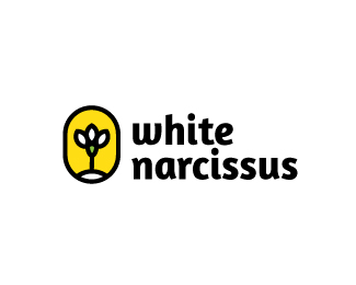 White Narcissus