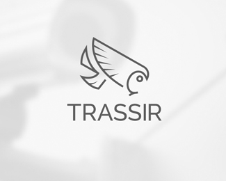 Trassir