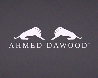 ahmed dawood