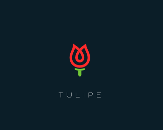 Tulipe