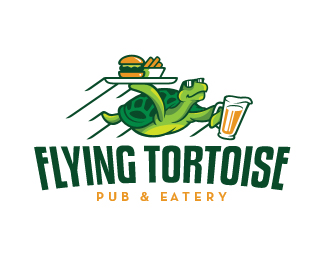 Flying Tortoise